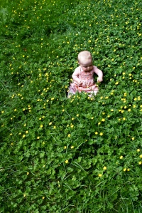 2-baby-in-a-flower-field_sm